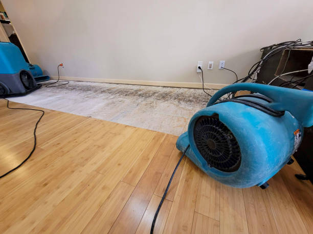 Professional Burst Pipe Water Damage technician working in Montrose, NY